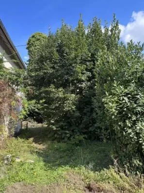 Image du modèle de maison 54633e17-f35e-41a1-a08b-433b77ae945a
