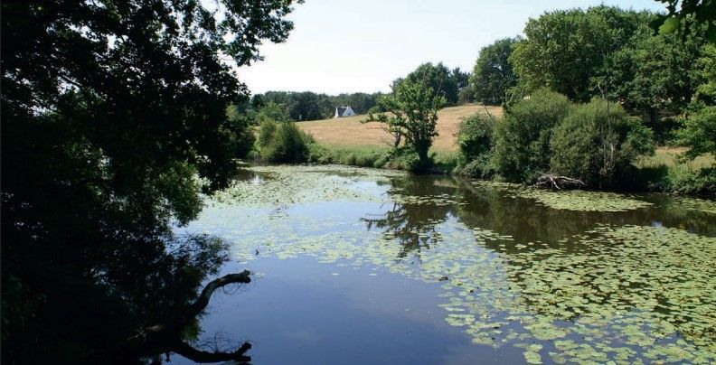 Image du modèle de maison Capture d’écran 2025-07-09 121200