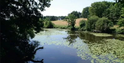 Image du modèle de maison Capture d’écran 2025-07-09 121200