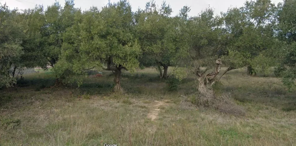 Image du terrain Terrain à bâtir de 2200 m² à MOUX (11)