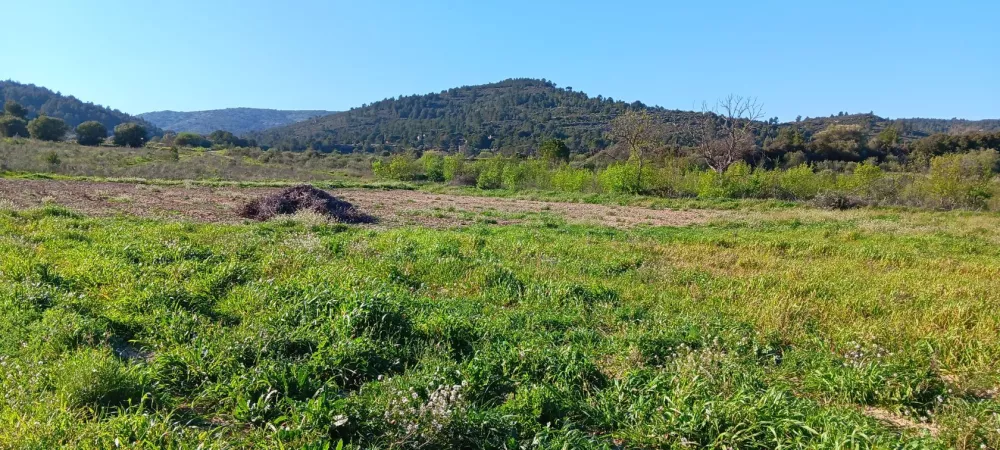 Image du terrain Terrain à bâtir de 424 m² à PORTEL-DES-CORBIERES (11)