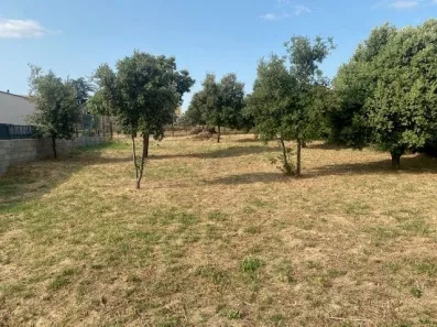 Image du modèle de maison Photo 3