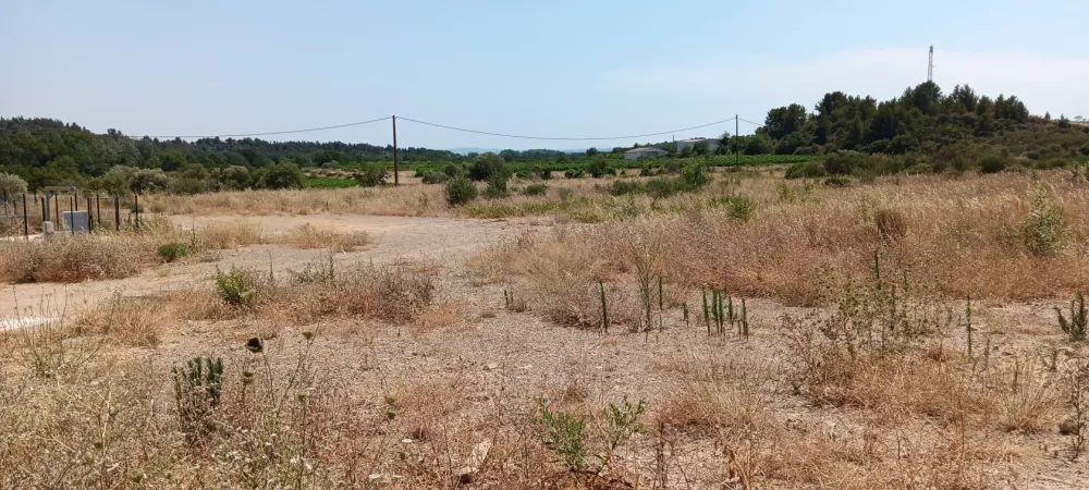 Image du modèle de maison 20250703_150701