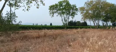 Image du modèle de maison 20250818_115809