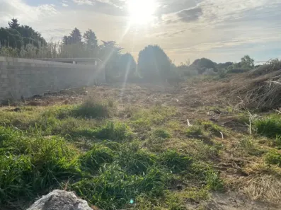 Image du modèle de maison Crabit 2