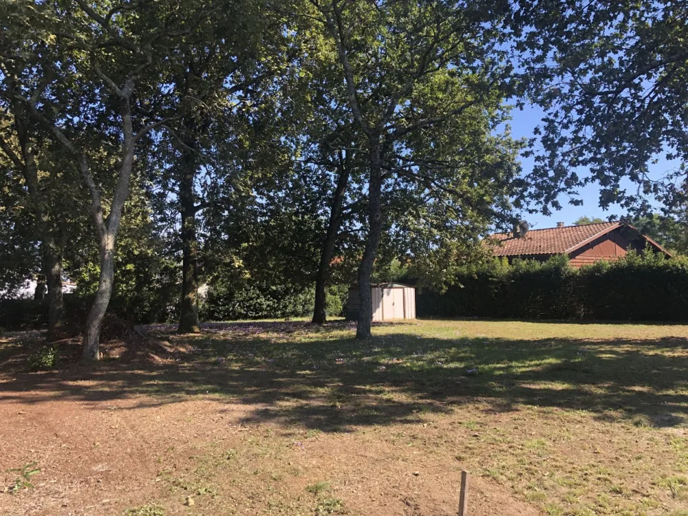 Image du modèle de maison 43