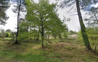 Image du modèle de maison Sans titre