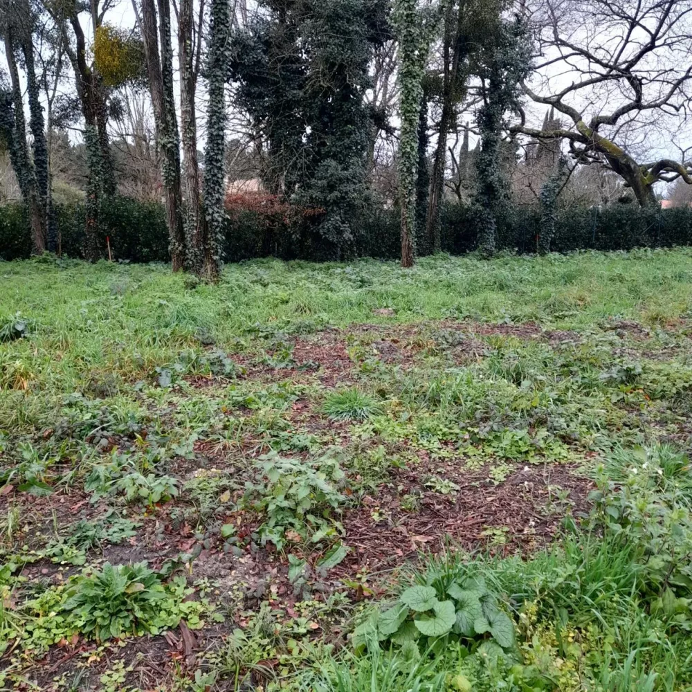 Image du terrain Terrain à bâtir de 325 m² à VILLENAVE-D'ORNON (33)