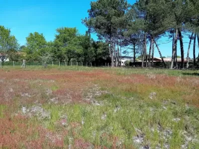 Image du modèle de maison 20250425_155737