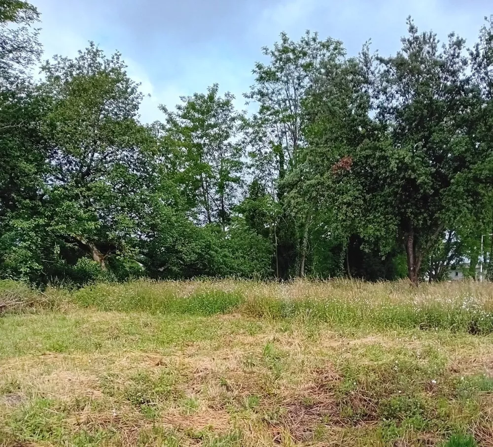 Image du modèle de maison VILLENAVE
