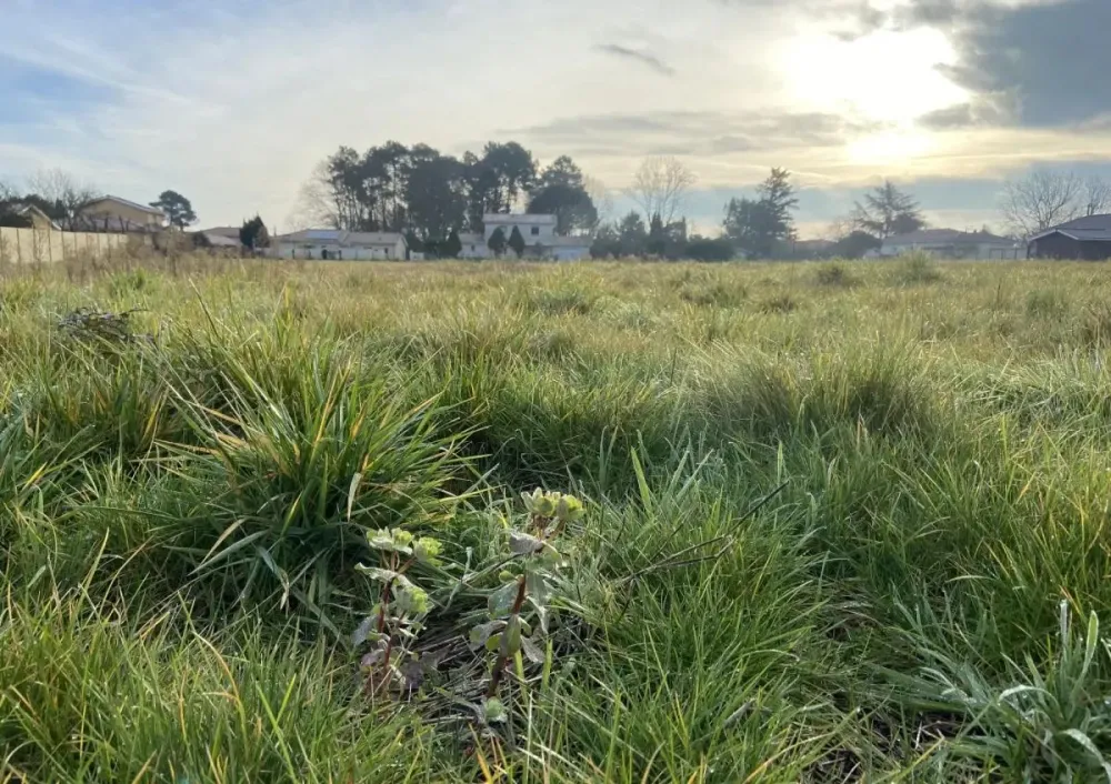 Image du modèle de maison lt-13174-BEOLETTO-602_2.webp