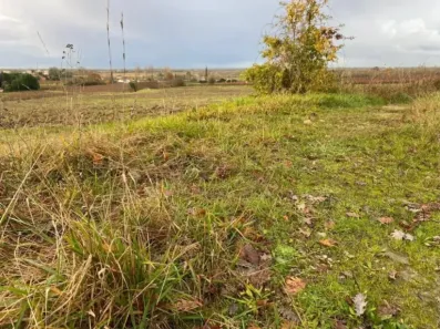 Image du modèle de maison raw