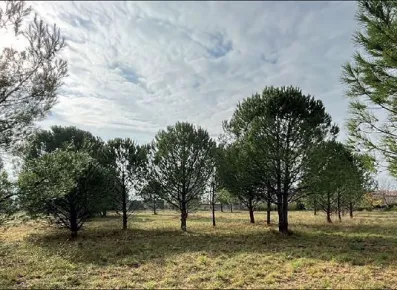 Image du modèle de maison CAROMB LE CHAMPT DES CIGALES TERRAIN VUE3