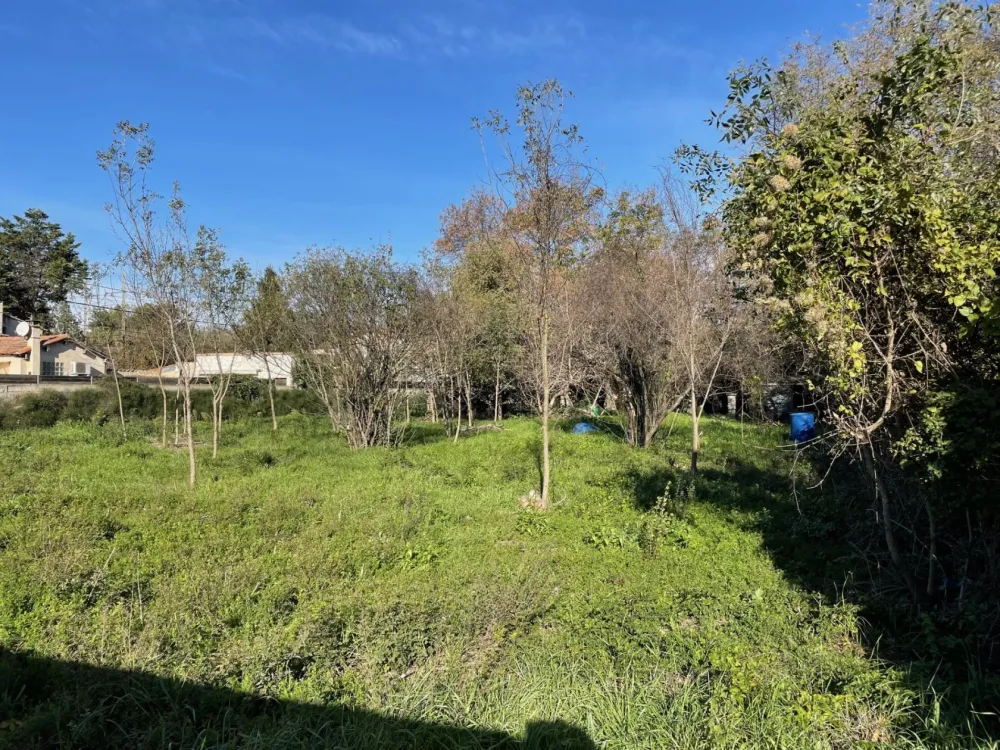 Image du modèle de maison LES ANGLES VUE 4