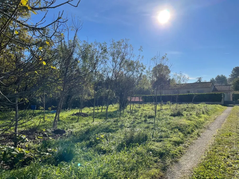 Image du modèle de maison LES ANGLES VUE 5