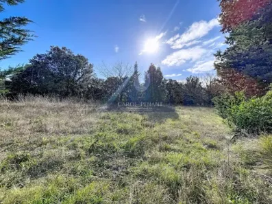 Image du modèle de maison cypres-mazan_00007