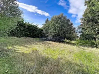 Image du modèle de maison cypres-mazan_00001