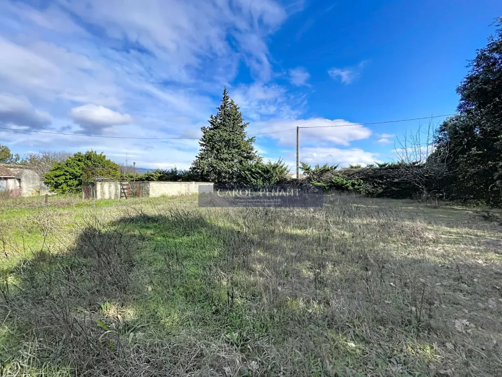 Image du modèle de maison cypres-mazan_00018