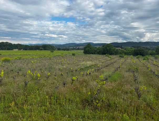 Image du modèle de maison SABRAN JARDINS DE LA ROUSSE TERRAIN