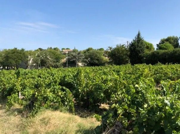 Image du terrain Terrain à bâtir de 402 m² à VACQUEYRAS (84)