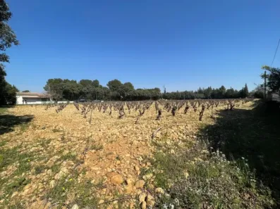 Image du modèle de maison SORGUES RTE CHATEAUNEUF PENANT