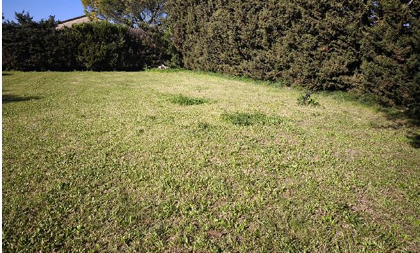 Image du terrain Terrain à bâtir de 613 m² à MONTEUX (84)