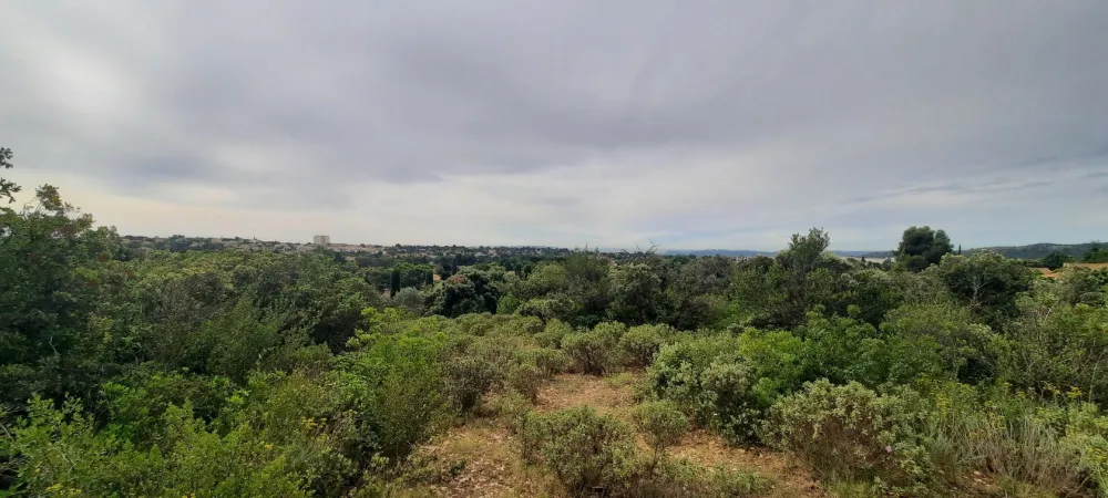 Image du terrain Terrain à bâtir de 560 m² à VILLENEUVE-LES-AVIGNON (30)