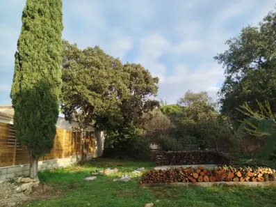 Image du modèle de maison 1000012285