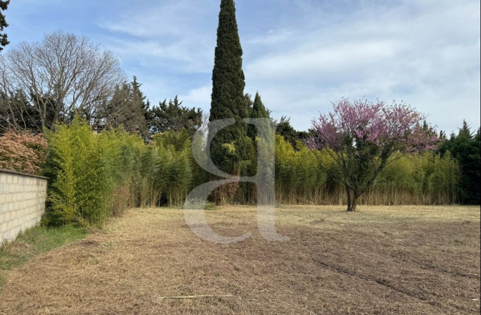 Image du terrain Terrain à bâtir de 1200 m² à SAINT-REMY-DE-PROVENCE (13)