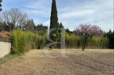 Image du modèle de maison Capture d’écran 2026-06-03 180253