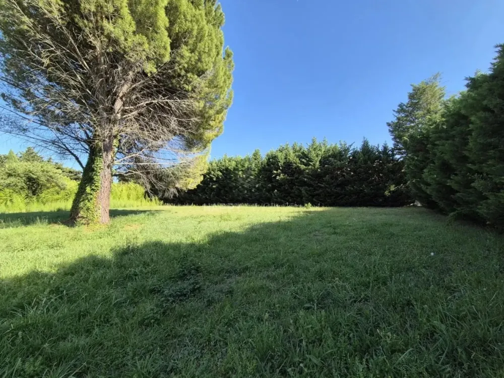 Image du terrain Terrain à bâtir de 1205 m² à SAINT-REMY-DE-PROVENCE (13)