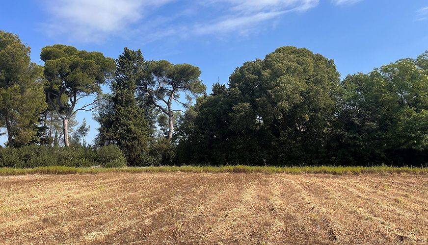 Image du terrain Terrain à bâtir de 358 m² à CARPENTRAS (84)