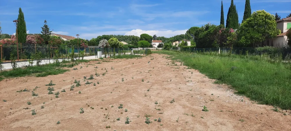 Image du terrain Terrain à bâtir de 600 m² à FONTVIEILLE (13)