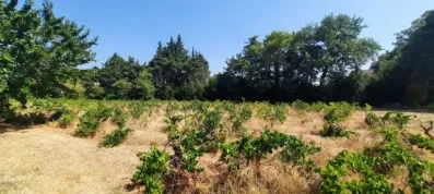 Image du modèle de maison 20260728_155606