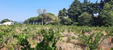 Image du modèle de maison 20260728_155524