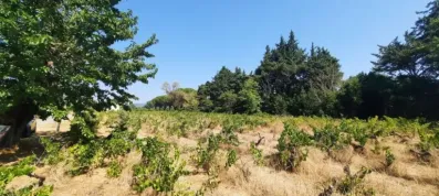 Image du modèle de maison 20260728_155627