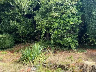 Image du modèle de maison 1758634534227