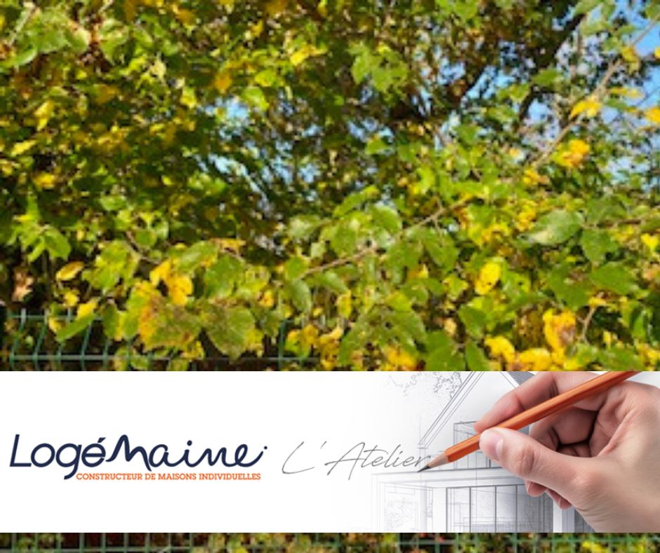 Image du modèle de maison PHOTO LOGEMAINE BUISSON