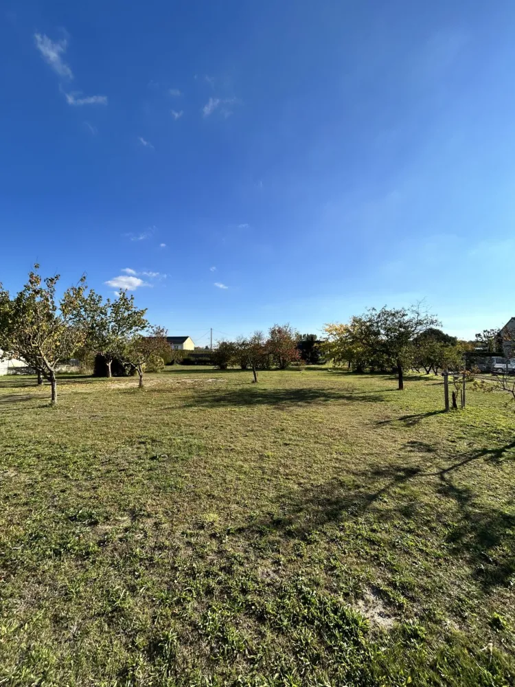 Image du modèle de maison IMG_5519