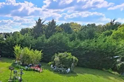 Image du modèle de maison Capture