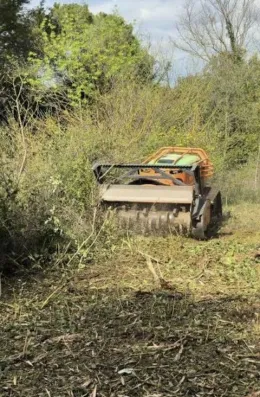 Image du modèle de maison Capture d’écran 2026-07-02 à 17.45.43