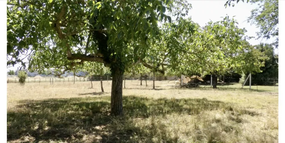 Image du modèle de maison terrain ste gemme