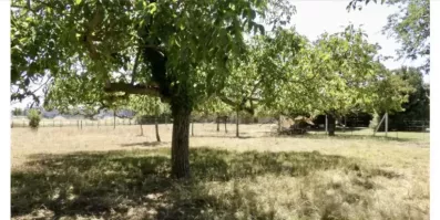 Image du modèle de maison terrain ste gemme