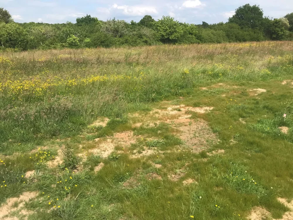 Image du terrain Terrain à bâtir de 227 m² à LA BAULE-ESCOUBLAC (44)