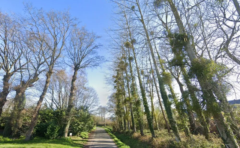 Image du modèle de maison Capture d'écran 2024-11-12 112050