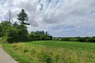 Image du modèle de maison Capture d'écran 2025-09-08 121939