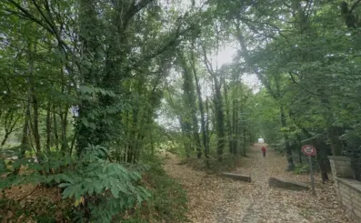 Image du modèle de maison Capture d'écran 2025-09-23 145750