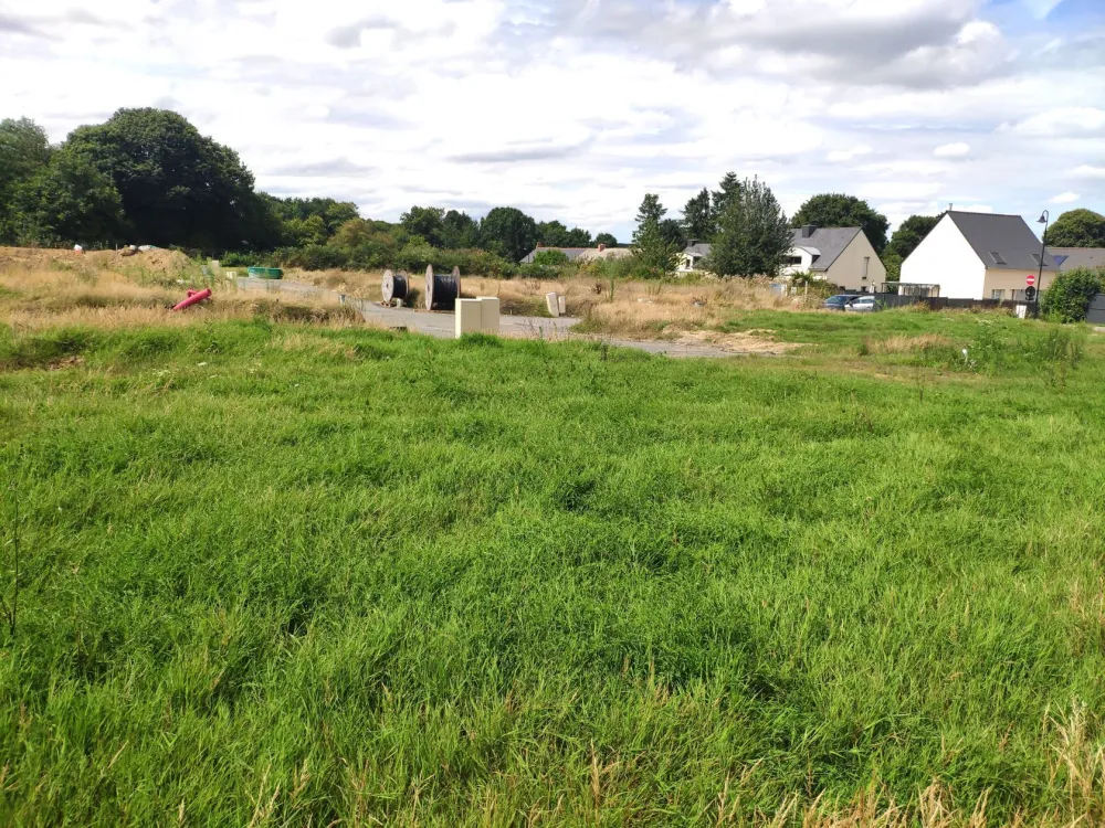 Image du modèle de maison IMG_20230816_144408