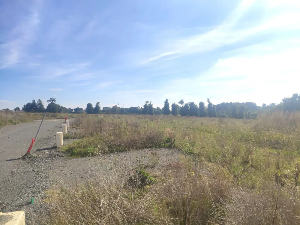 Image du modèle de maison IMG_20241004_143200