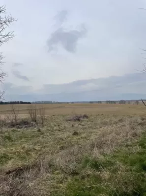 Image du modèle de maison TERRAIN GALFINGUE